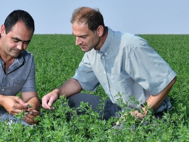 From seed to sales header.jpg