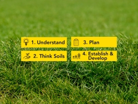 4 Steps To Grass Success