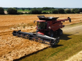 Seed Production