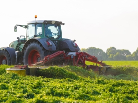 First Cut Silage Strategy - Why Patience Pays Off - High Stakes
