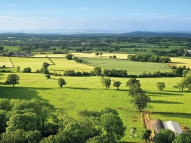Agriculture