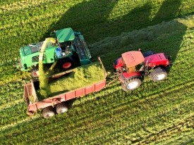 Silage