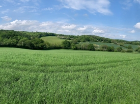Fieldsman