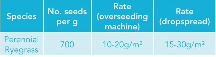 Overseeding Sport Pitches