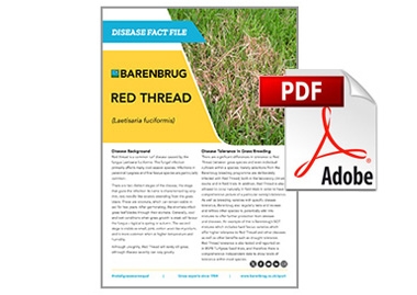 Factfile Red Thread thumbnail