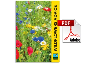 Wildflowers Product Brochure 2025
