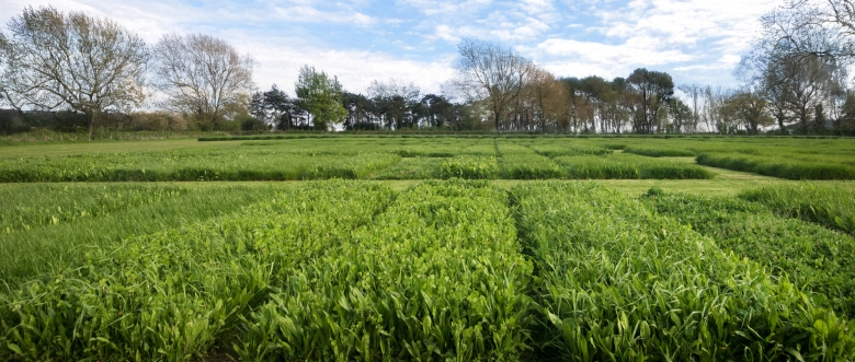 Cropvale