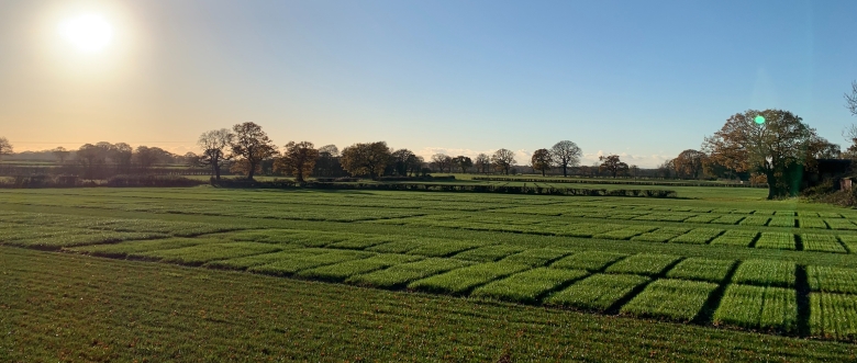 Knutsford