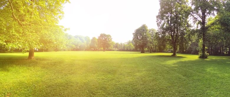 Landscaping Essential Header