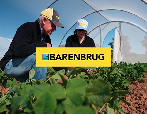 Linktree | Barenbrug UK