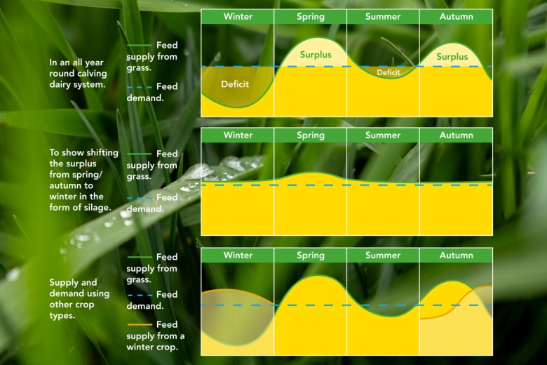 Farm Fodder Flow Graphs