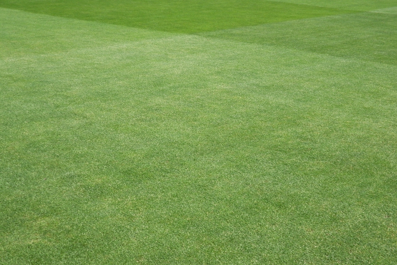 Essex County Cricket Club