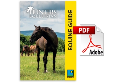 Equine Guide