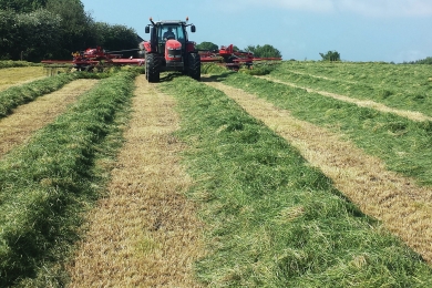 Cutting Field Go Softly First Silage Cut