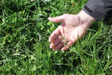 Index4 Field Grassland Index Guide