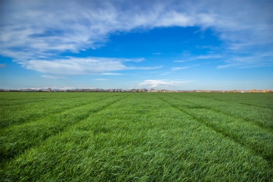 Index5 Field Grassland Index Guide
