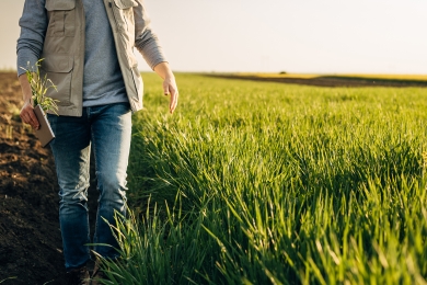 Return On Grass Investment