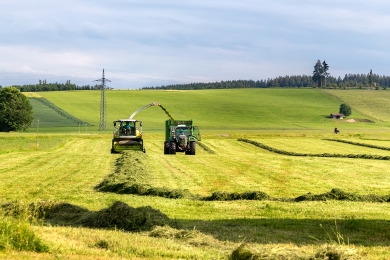 First Cut Silage Strategy - Why Patience Pays Off - Avoid the kid in a candy store mistake