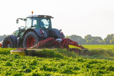 First Cut Silage Strategy - Why Patience Pays Off - High Stakes
