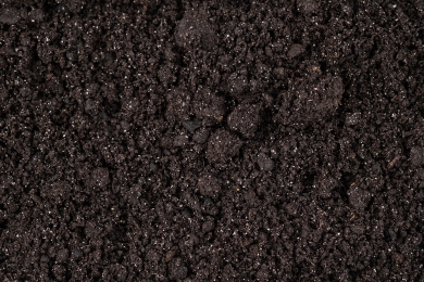 Compacted Soil