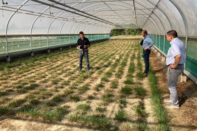 Wolfheze grass plots and trials rainout shelter