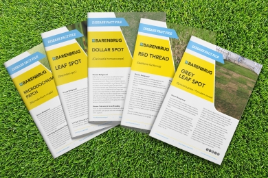 Grass Disease Fact Files Sport
