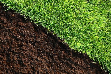 Soil Lawn Landscaping