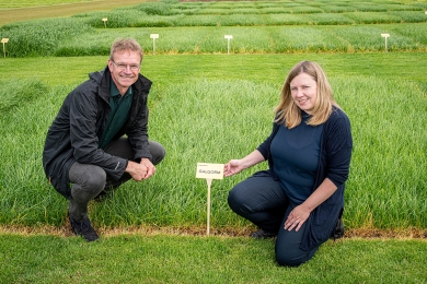 Piet Arts Barenbrug And Gillian Young AFBI