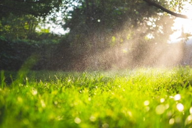 Watering Lawn