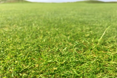 Royal St George's Golf Club