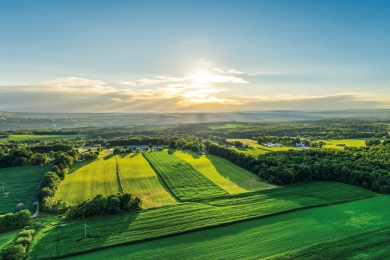 Farm Agriculture