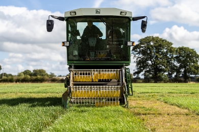 Knutsford sowing