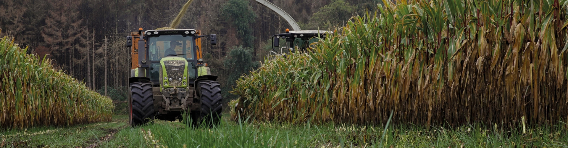 Proterra Maize