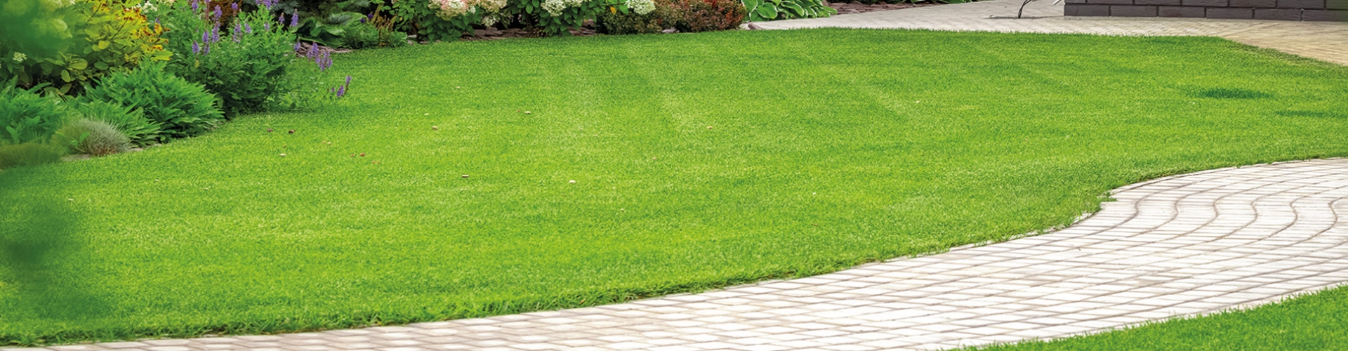 Landscaping Essential E1