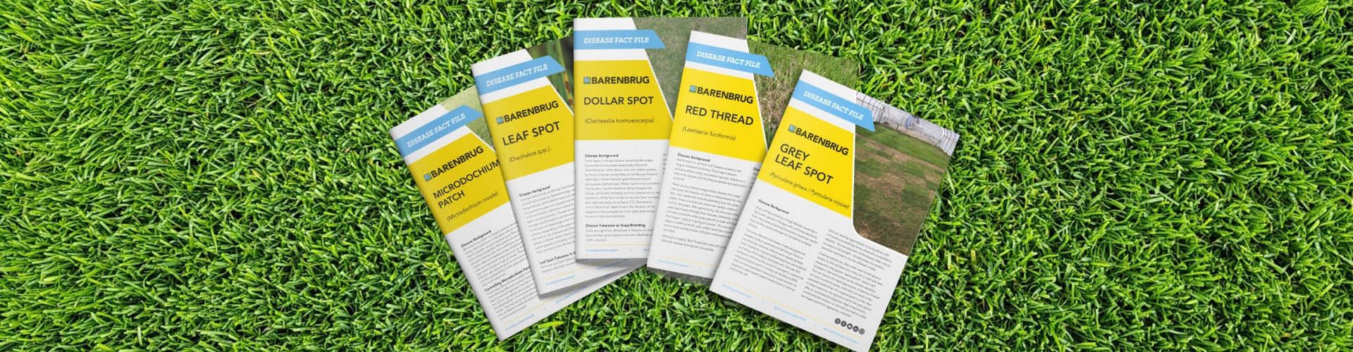 Grass Disease Fact files Sport