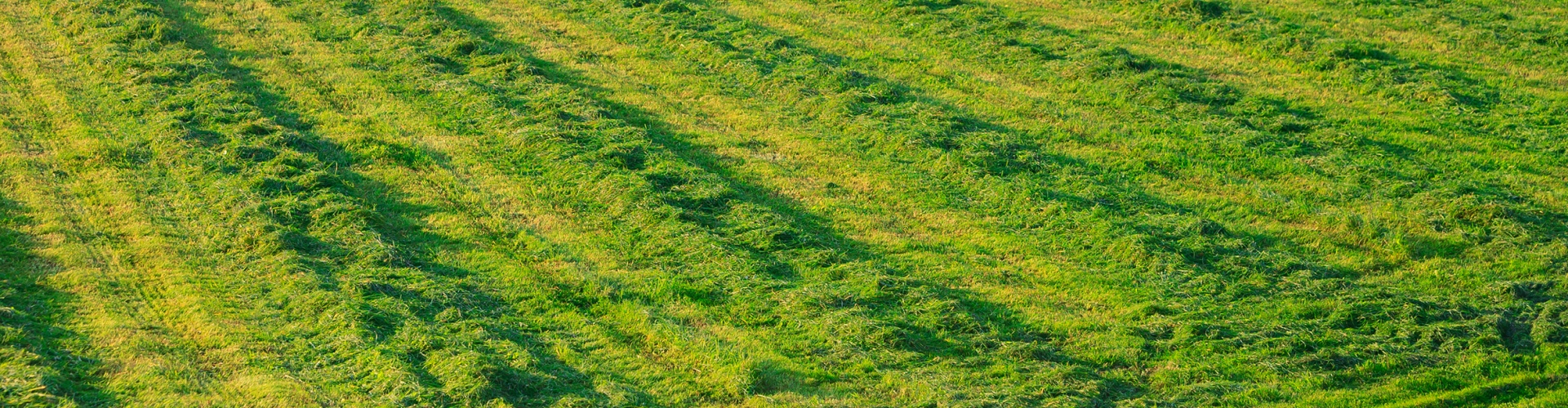 Silage