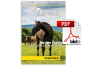 Equine Guide