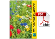 Wildflowers Product & Advice Guide