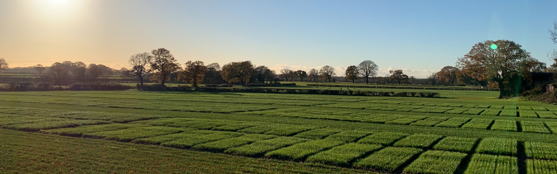 Knutsford