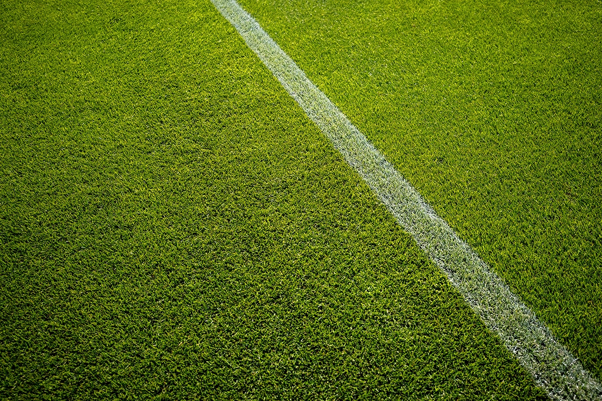 Football Pitch Turf Grass