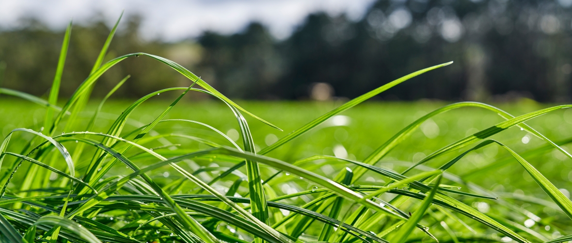 Sustainable Solutions