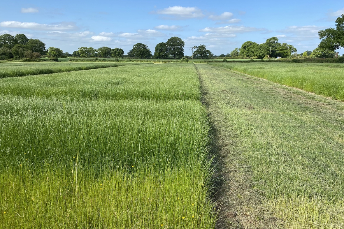 Drilling Trials Knutsford