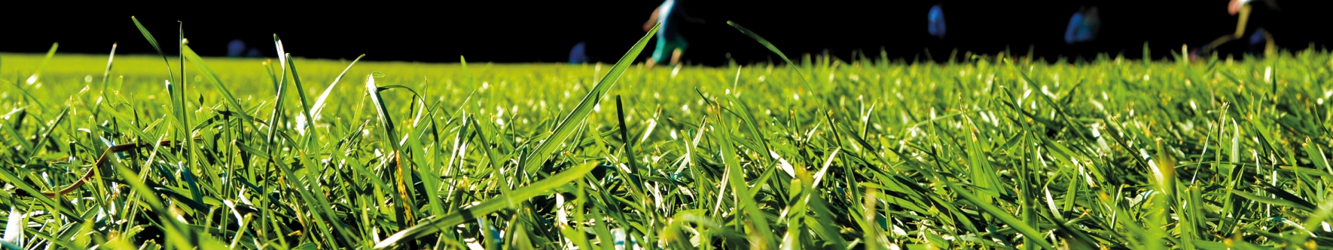 Landscaping Range