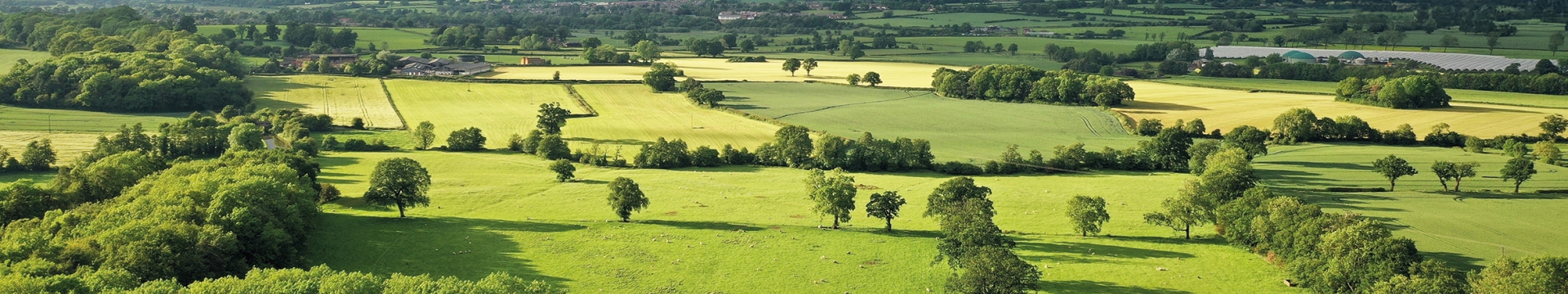 Agriculture