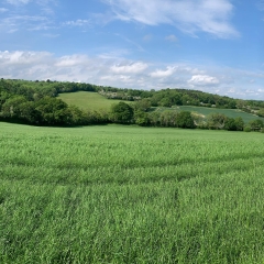Fieldsman